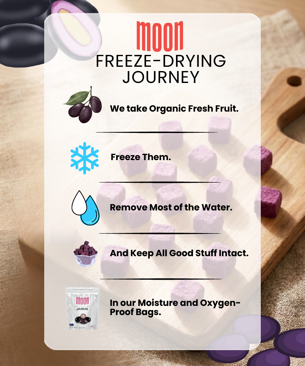 Infographic illustrating Themoonstoreindia’s Moon Freeze Dried Jamun Cubes: organic fruit is frozen, dehydrated to retain nutrients, then packed in moisture- and oxygen-proof bags. Features purple cubes and product packaging. Gluten-free snack!.