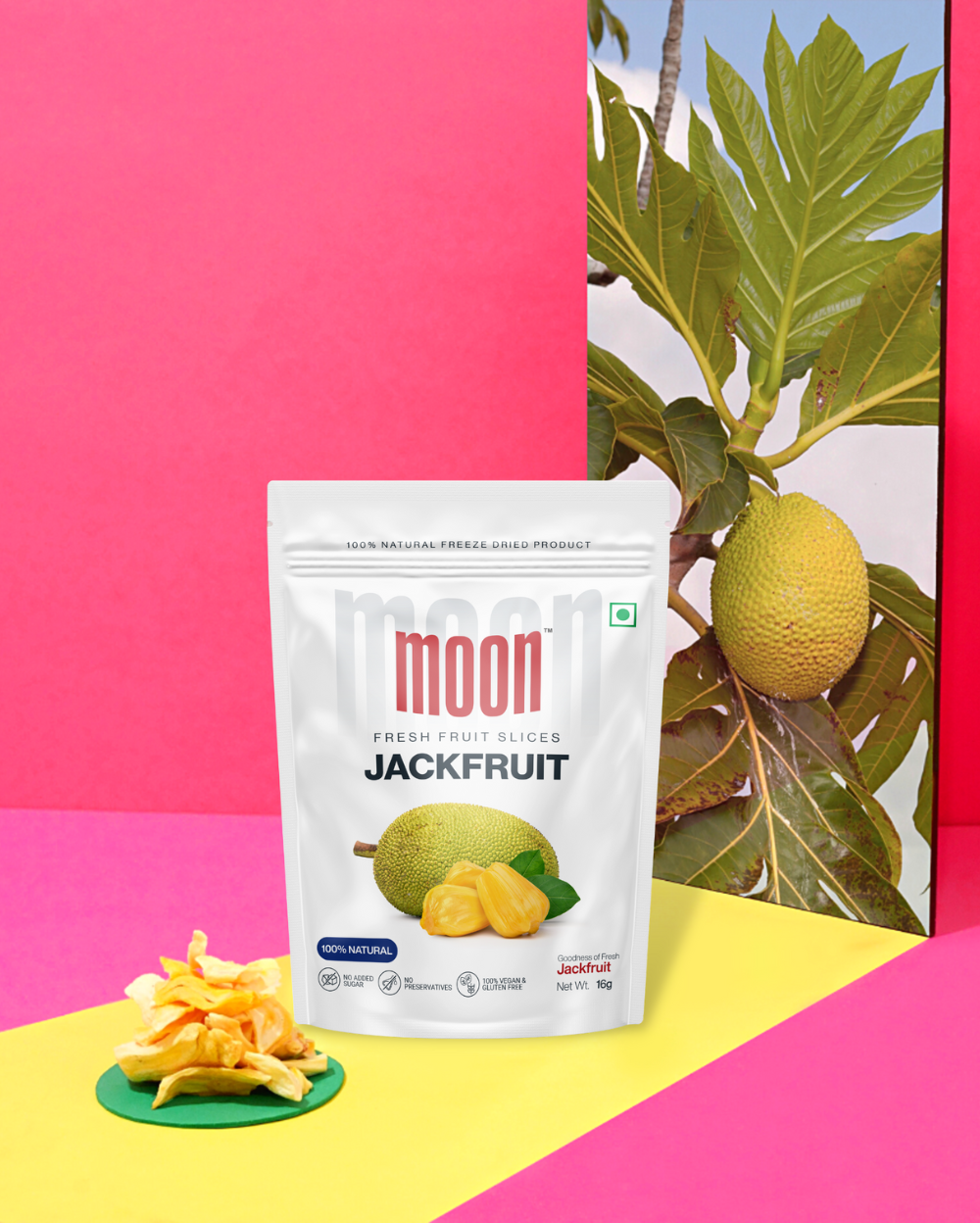 A package of "Moon Freeze Dried Jackfruit" by Themoonstoreindia is displayed in front of a vibrant background, featuring a photo of jackfruits hanging on a tree. Some dried jackfruit slices are scattered beside the package, showcasing their health benefits and natural goodness.