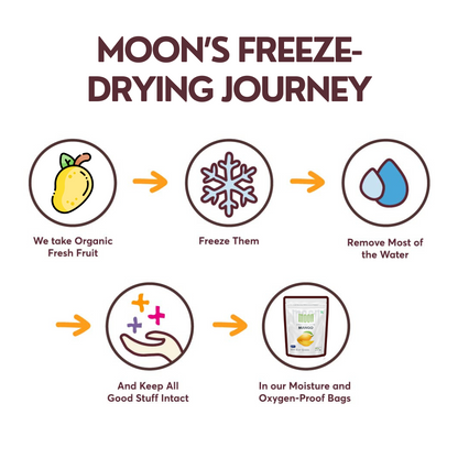 An infographic illustrating the steps of freeze-drying fruit, from starting with organic fresh fruit to packaging the Moon Freeze Dried Mango Slice in oxygen-proof bags. It specifically highlights the process for no added sugar, high vitamin content.