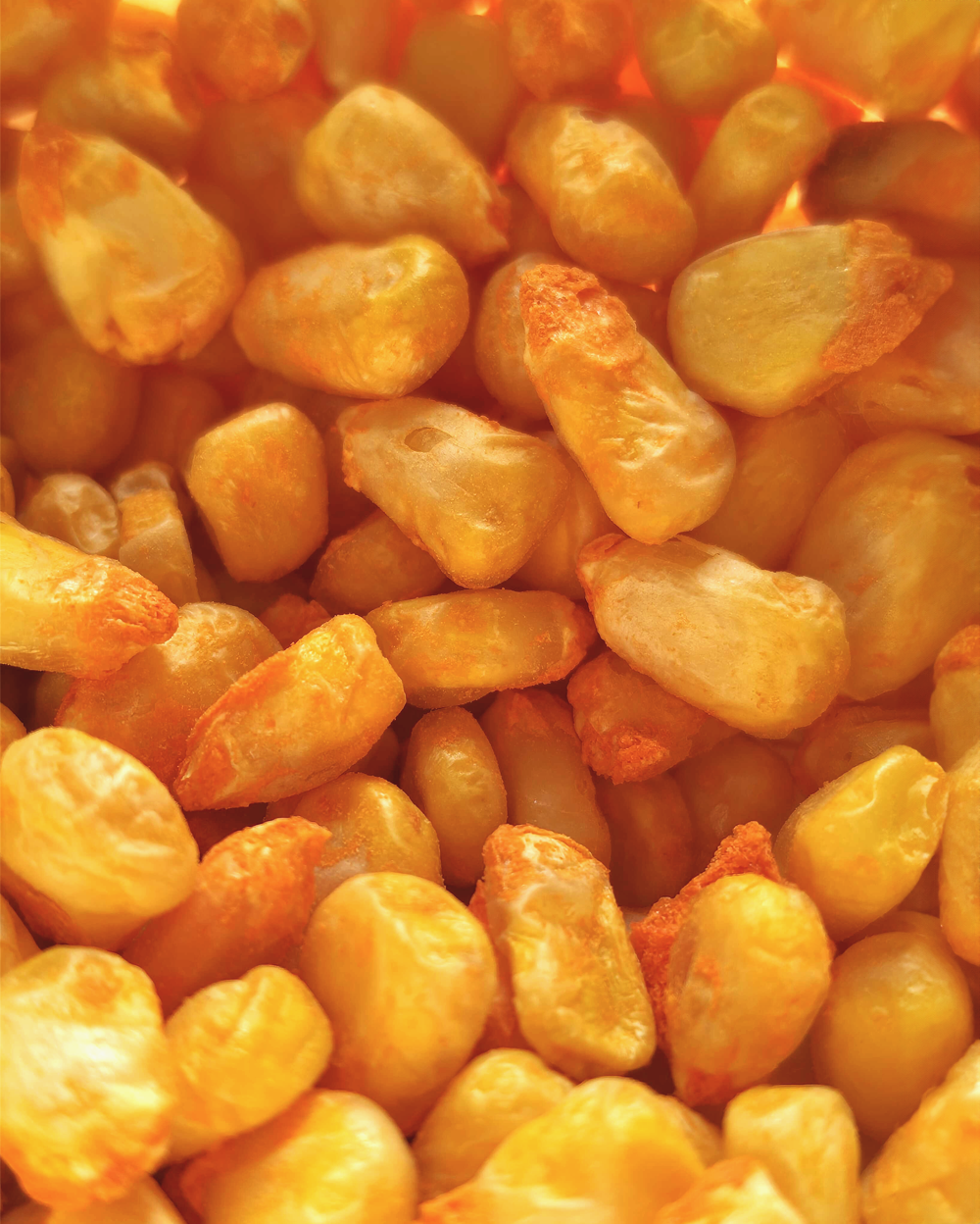 A close up image of a bowl of MOONFREEZE FOODS PRIVATE LIMITED Freeze Dried Crispy Corn Gourmet Cheese.