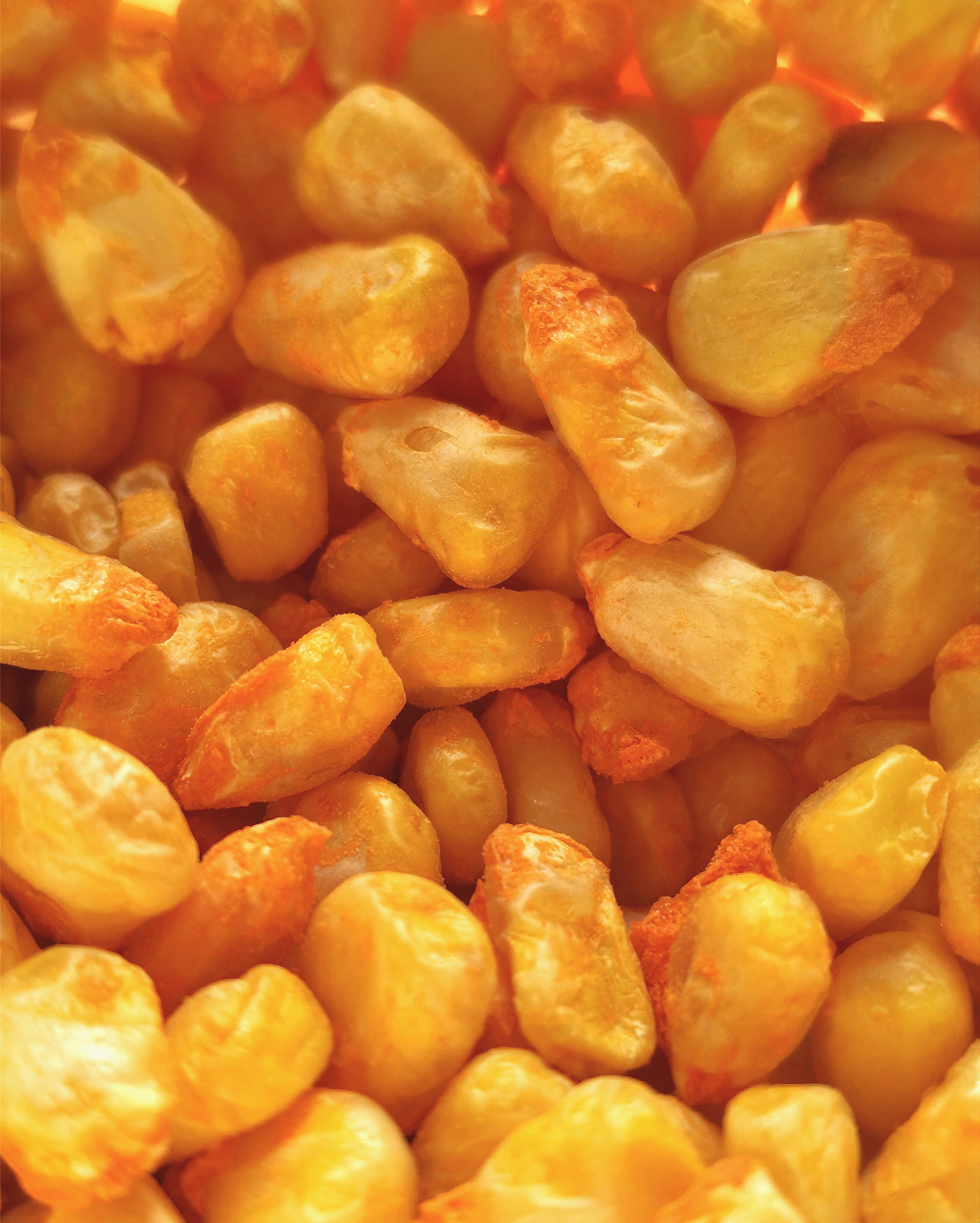 Savory Freeze-Dried Crispy Corn with Gourmet Cheese.