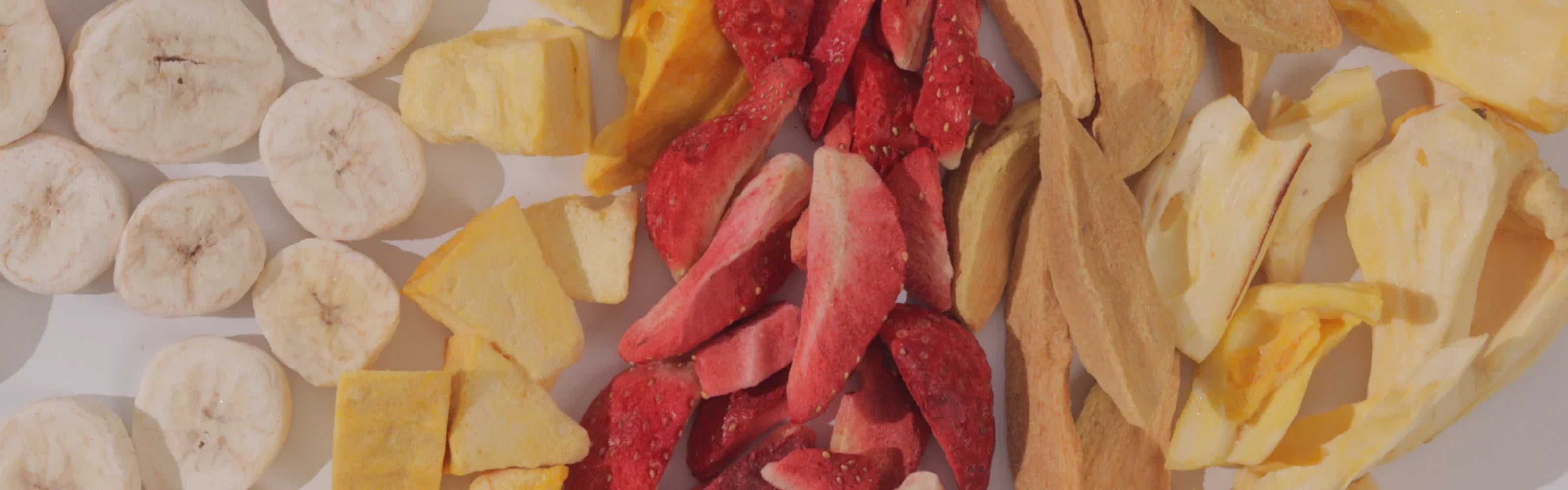 Freeze Dried Fruit Chips