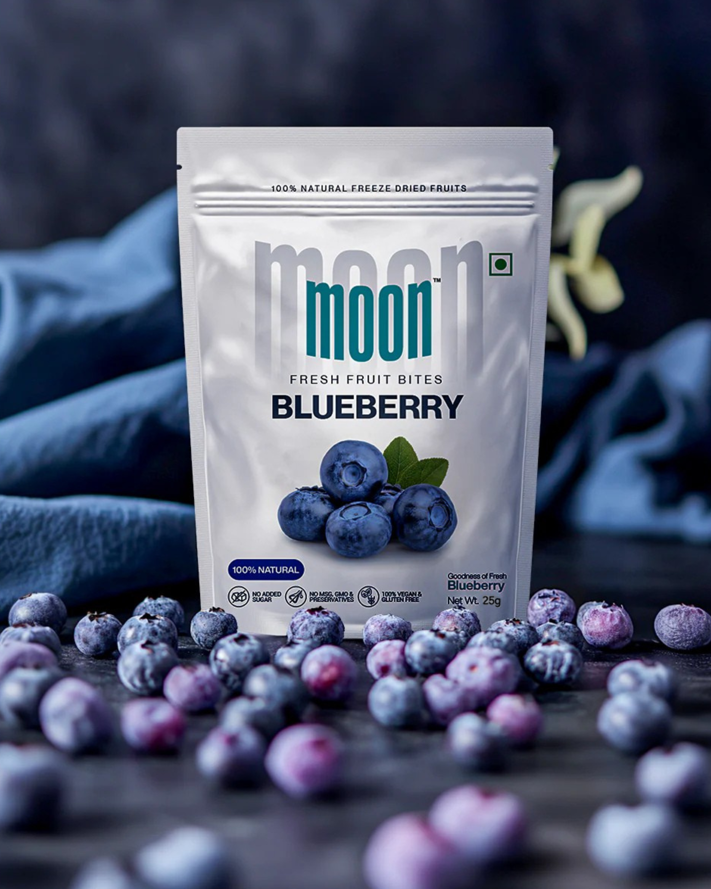 A pouch of Moon Freeze Dried Blueberry from Themoonstoreindia stands upright on a surface, with scattered blueberries in the foreground.