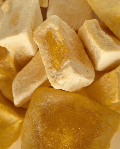 Close-up of freeze-dried mango chunks, showcasing their texture and color.