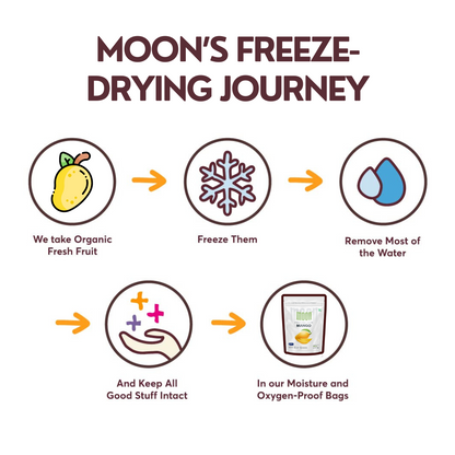 freeze-drying process illustrated: organic fresh fruit is frozen, water is removed, nutrients are preserved, and the final product is sealed in moisture and oxygen-proof bags.