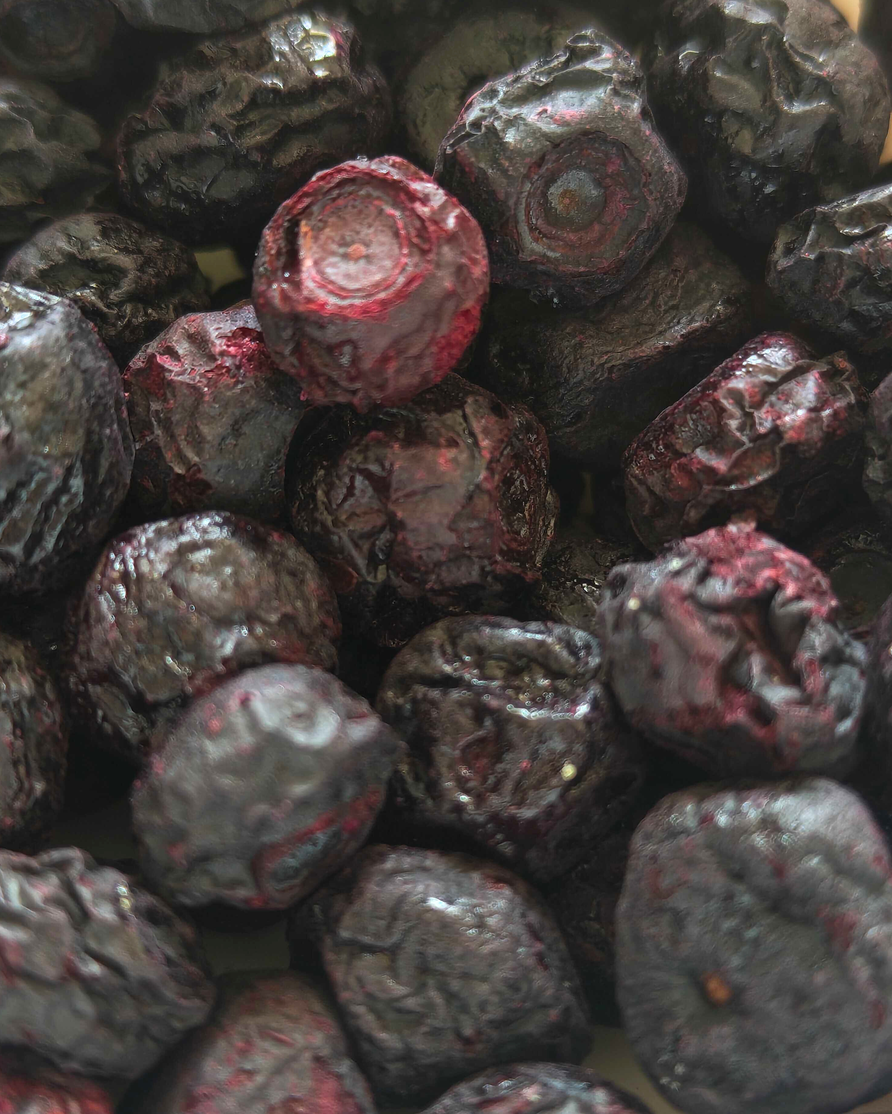 A close-up of MOONFREEZE FOODS PRIVATE LIMITED's Moon Freeze Dried Blueberry Pack of 3.